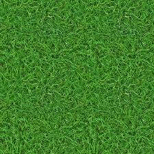 Maybe you would like to learn more about one of these? High Resolution Grass Texture Free Images On All3dfree