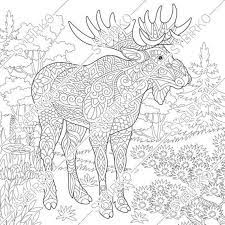 Coloring book of forest animals for kids. Pin On Mandalas