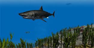 Whale shark attack simulator is a 3d action game where players take on the role of a shark to complete a series of missions assigned to each level. Shark Simulator For Android Apk Download