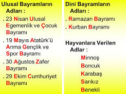Ozel Isimler Cins Isimler Ppt Indir