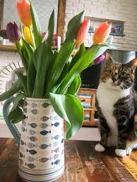 Check spelling or type a new query. Mum Posts Cute Pic Of Beloved Cat Posing Next To Tulips Only For Flowers To Kill Pet 24 Hours Later