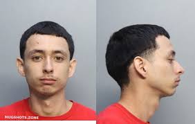 TELLEZ CHRISTIAN FELIPE 03/09/2023