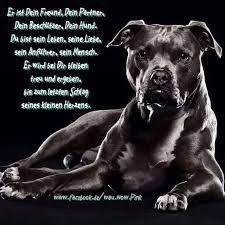 Dass mir der hund das liebste sei, sagst du, oh mensch, sei sünde. Er Ist Dein Freund Dein Partner Dein Beschutzer Dein Hund Du Bist Sein Leben Seine Liebe Sein Anfuhrer Sein Mensch Er Spruche Tiere Hunde Hund Zitat