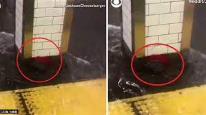 北市淹水慘兮兮「老鼠抓浮板求救」 編輯 周嘉茹 報導 發佈時間：2021/06/04 19:35 最後更新時間：2021/06/04 19:35 åœ°éµå¤§æ·¹æ°´ è€é¼  æŠ—è¡¡æ´ªæ°´ å½±ç‰‡ç˜‹å‚³ç¶² å‰é¼ è‡ªæœ‰å¤©ç›¸ åœ‹éš› ä¸‰ç«‹æ–°èžç¶²setn Com