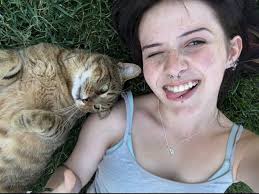 Lost cat in Hillside Terrace/Heritage Hills area