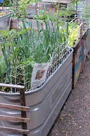At a height of 24 inches, each trough provides a luxurious depth of soil to promote root growth of vegetables and herbs. Galvanized Water Trough Planters Insteading