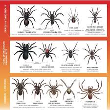 If you see one bug scuttling around your house, there's probably a colony nearby. Reliance Pest Management 24 Hour Pest Control Sydney Posts Facebook