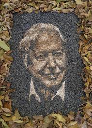 Patience is key in creating natural material art pieces