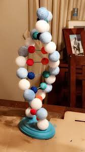 Dna Model Made From 2x4 Inch Wire Mesh And Styrofoam Balls Dna Model Project Dna Model Dna Project