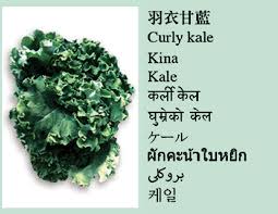 You are not logged in. Leafty Vegetable