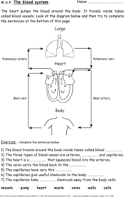 Stretch as blood is forced through them and go back into shape afterwards = pulse. Ks3 Science Revision Worksheets Pdf Free Download