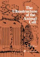 Check spelling or type a new query. The Ultrastructure Of The Animal Cell Sciencedirect