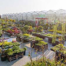 Kein garten und landschaftsbau firma in ingolstadt gefunden, dann versuchen sie ein garten und landschaftsbau firma in der nähe zu finden. Uber Uns 1a Garten Zitzelsberger In Ingolstadt
