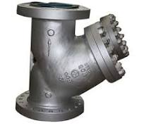 Y Type Strainer, ASTM A216 WCB, SS316L Screen, DN300, PN100, RF