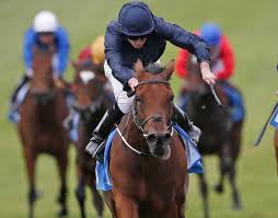 Image result for rhododendron horse