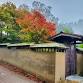 Autumn Mindfulness + Yoga Retreat — Ada Yoga