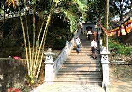 Những đặc sản nên mua về khi đi du lịch quảng ninh. Top 30 Ä'á»‹a Ä'iá»ƒm Du Lá»‹ch Báº¯c Ninh Ä'áº­m Cháº¥t VÄƒn Hoa Lá»‹ch Sá»­
