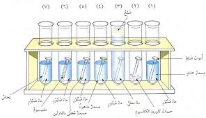منهاجي متعة التعليم الهادف أسئلة الوحدة