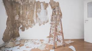 We did not find results for: Cara Mengecat Tembok Lama Dengan Berbagai Kondisi Cocok Untuk Pemula Hot Liputan6 Com