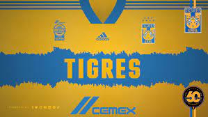 All images are of high quality in hd and various resolutions hd, 4k & 8k. Euro Tigres Wallpapers De Tigres Facebook