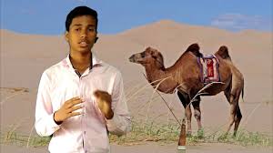 He was looking at his reflection in water. Ncert Class 8 English How The Camel Got His Hump Chapter 1 Hindi By