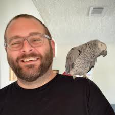 How bad do parrot bites actually hurt?