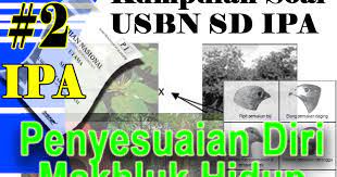 Savesave soal penyesuaian makhluk hidup for later. Kumpulan Soal Usbn Sd Ipa 2019 Tentang Penyesuaian Diri Sdn Ratujaya 1