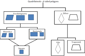 4 Sided Polygons Video Lesson Transcript Study Com