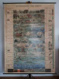 Vintage School Wall Map Pull Down Chart Of The By
