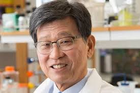 The Shapiro Family Laboratory of Viral Oncology and Aging Research (Park's  Branch)