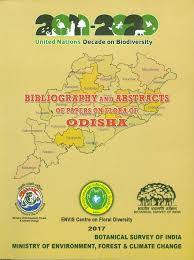 Image result for Kohautia microflora