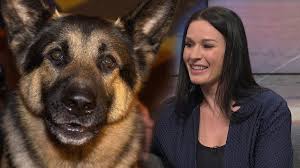How does the doctor know i have colorectal cancer? Sniffer Dogs To Be Used To Detect Bowel Cancer In Patients Youtube