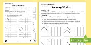 Memory refers to the cognitive processes involved in remembering new and old information. Memory Workout Worksheet Worksheet Teacher Made