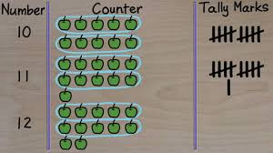 lesson on counting with tally marks