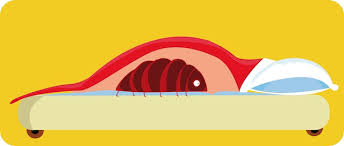 Bed Bug Mattress Covers