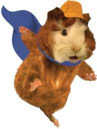 Pin On Linny The Guinea Pig