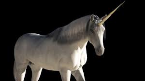 Image result for unicorn