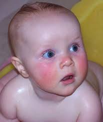 THE NONSENSE SUPPRESSOR