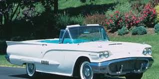 Image result for Monarch Blue 1958 Thunderbird
