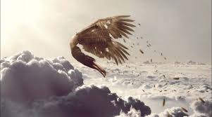 47,801 likes · 50 talking about this. Realizing The Full Potential Of Talent Part 1 The Flight Of Icarus Talenttalks