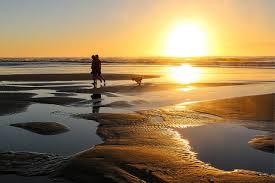Maybe you would like to learn more about one of these? The Best Places For Beach Bonfires In The Bay Area