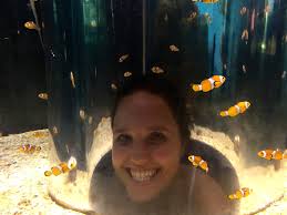 April Adventures, as told by Finding Nemo