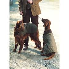 Barbour Olive Green Dog Coat Dog Coats Dog Jacket Dog Clothes Patterns