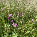 Kathy Munch: Observations