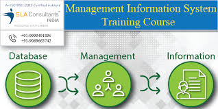 Mis Course In Noida Training Courses Management Information Systems Career Opportunities