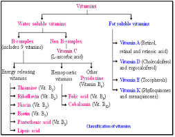 Pin On Nutrition Health