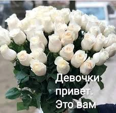 https://encrypted-tbn0.gstatic.com/images?q=tbn:ANd9GcSvUtAbCLogdpiOYxWujvugFszD9P9zvYA0nA&amp;usqp=CAU