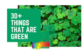 Check spelling or type a new query. Things That Are Green Learning Colors For Kids 30 Green Things
