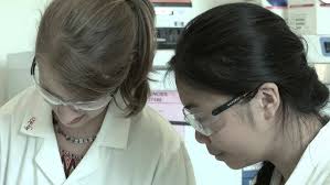 Meet EMBO Young Investigator