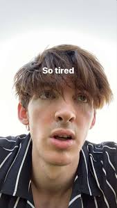 100+] Fondos de fotos de Flamingo Albert